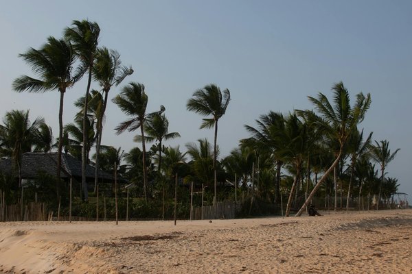 5 recettes faciles à essayer pendant vos vacances en camping