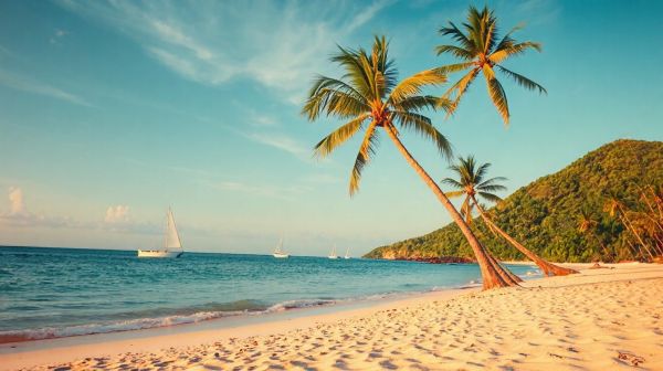 Top plages à explorer en Guadeloupe en dehors de l'été