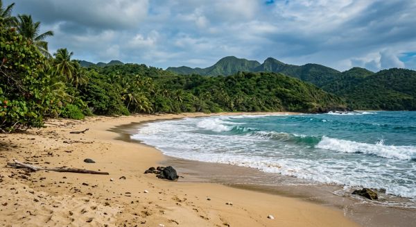 Top plages à explorer en Guadeloupe en dehors de l'été